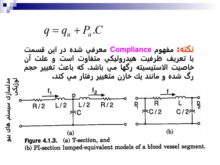 سيستم-گردش-خون6