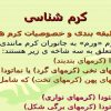 کرم-شناسی