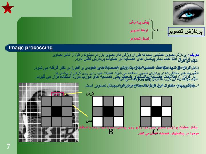 عارف-همتي6