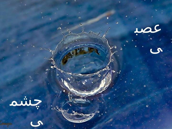 عوارض-جذام2