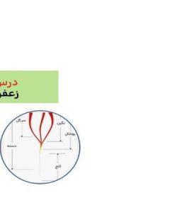 پاورپوینت-فارسی-چهارم-درس-۹-آزاد-زعفران-ضرب-المثل-خرس-آهنگر-نمره