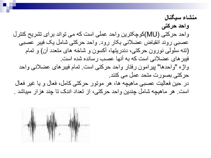 فیزیک-پزشکی5