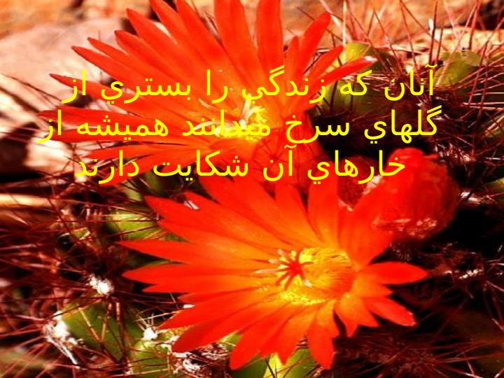 كمي-عميقتر-فكر-كنيد4