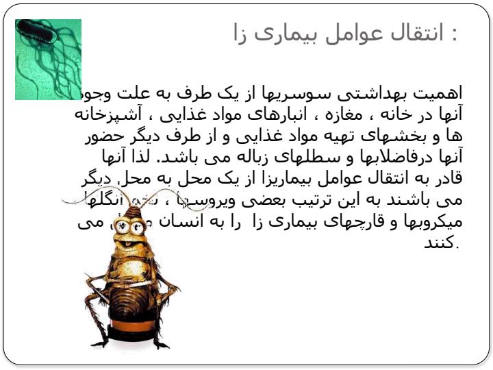 مبارزه-با-حشرات-و-جوندگان-در-مهدهای-کودک4