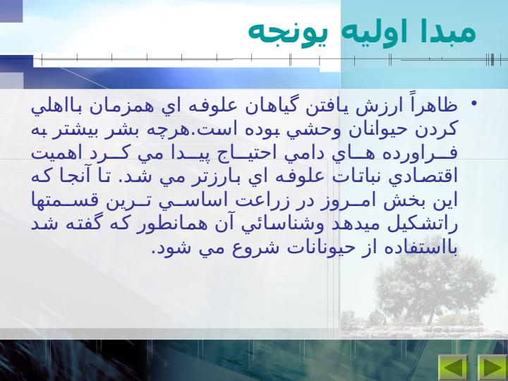 مبدا-اوليه-يونجه1