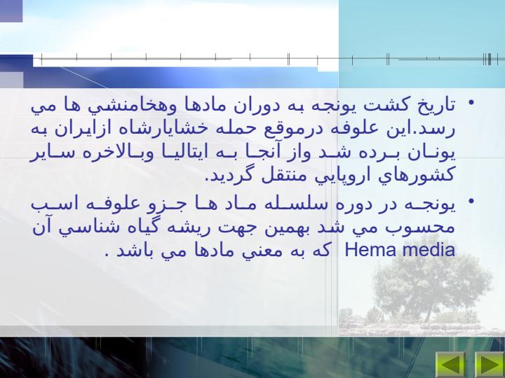 مبدا-اوليه-يونجه2