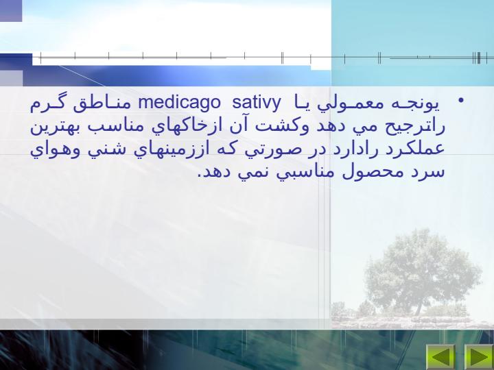 مبدا-اوليه-يونجه3