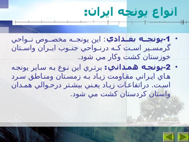 مبدا-اوليه-يونجه4
