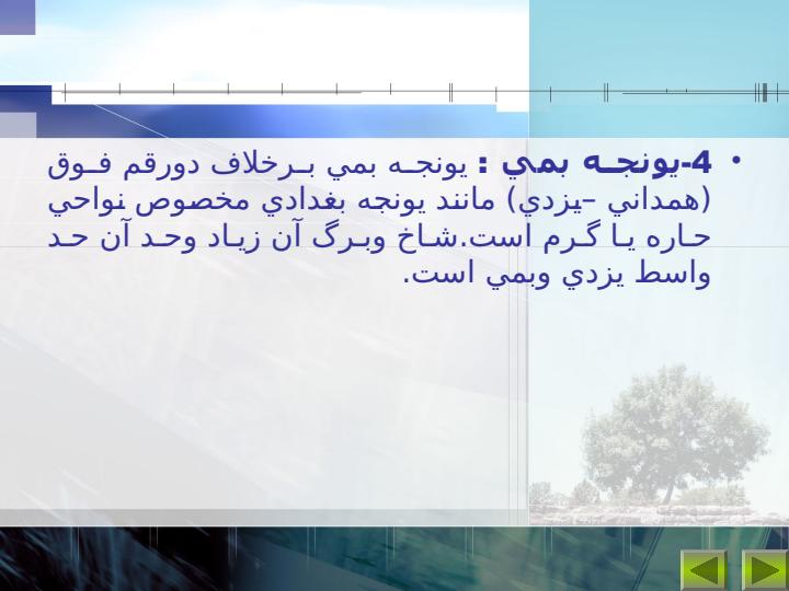 مبدا-اوليه-يونجه6