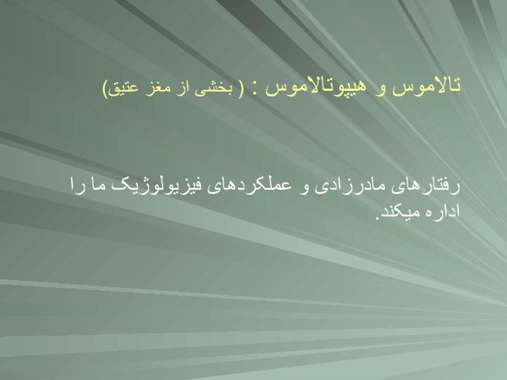 مدیریت-ذهن5