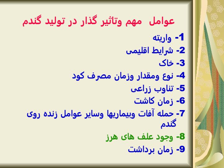 مدیریت-علفهای-هرز-گندم4