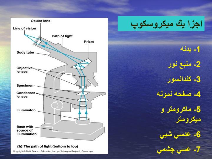 ميكروسكوپ2