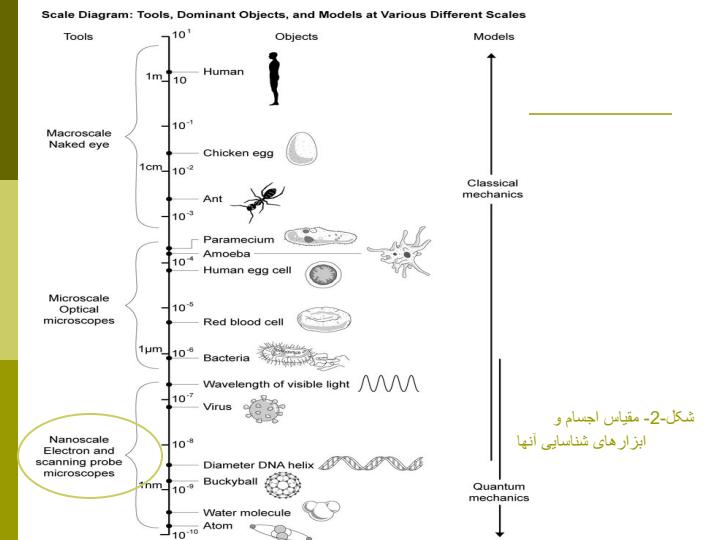 میکروسکوپ-های-نیروی-اتمیAFM4