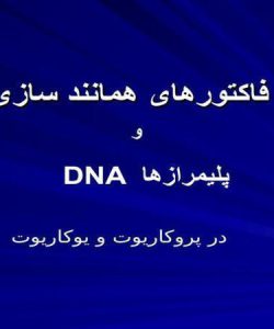 فاکتورهای-همانندسازی-DNAو-پلیمرازها