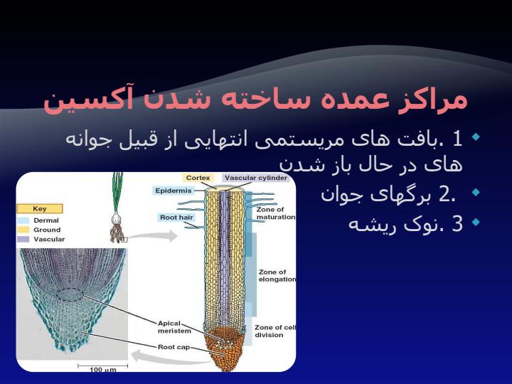 همرمون-های-گیاهی5