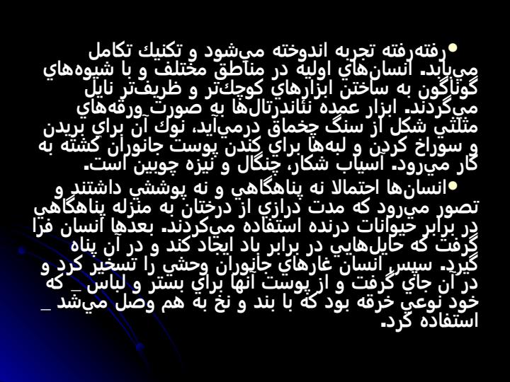 هنر-و-فرهنگ-نخستين-انسان6