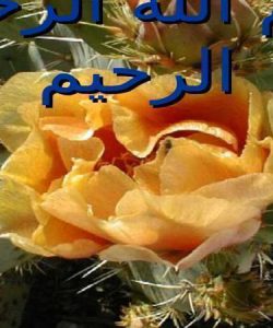 شاخص-و-اعتبار-بخشی