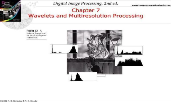 موجک-و-پردازش-Multiresolution