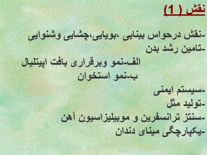 ویتامین-A2