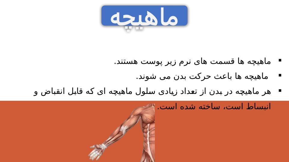 پاورپوینت-درس-۵-علوم-پنجم-حرکت-بدن3