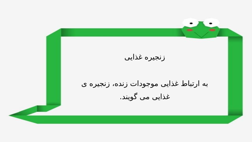 پاورپوینت-علوم-چهارم-درس-۱۳-زیستگاه6