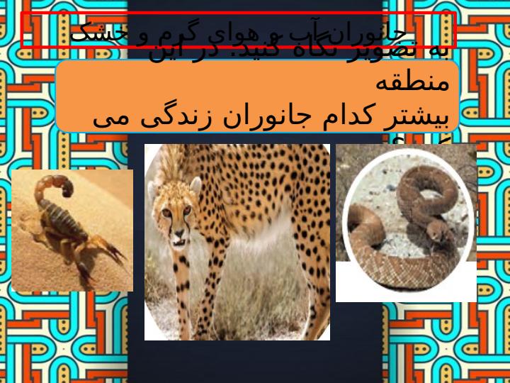 پاورپوینت-مطالعات-اجتماعی-چهارم-درس-۱۸-پوشش-گیاهی-و-زندگی-جانوری-در-ایران3