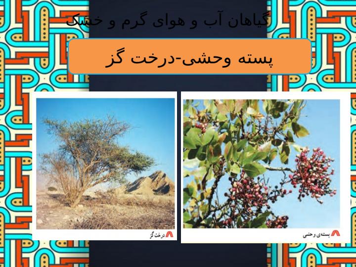 پاورپوینت-مطالعات-اجتماعی-چهارم-درس-۱۸-پوشش-گیاهی-و-زندگی-جانوری-در-ایران4