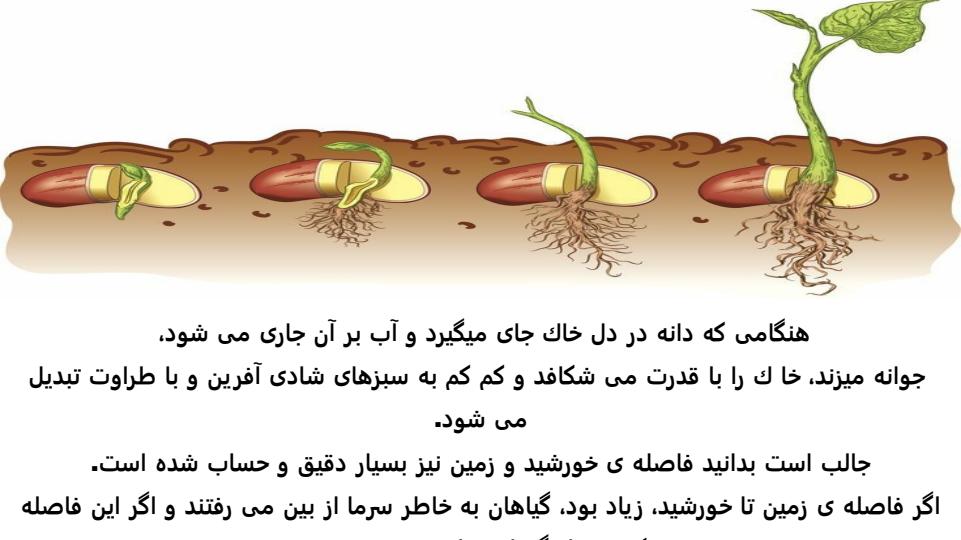 پاورپوینت-هدیه-آسمانی-پنجم-درس-۲-تنها-او2