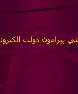 مباحثي-پيرامون-دولت-الكترونيكي