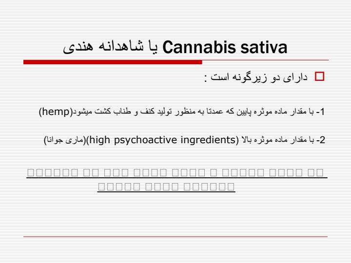 کانابیس5