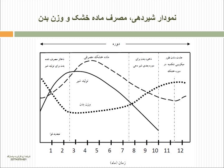 گاو-شیری3