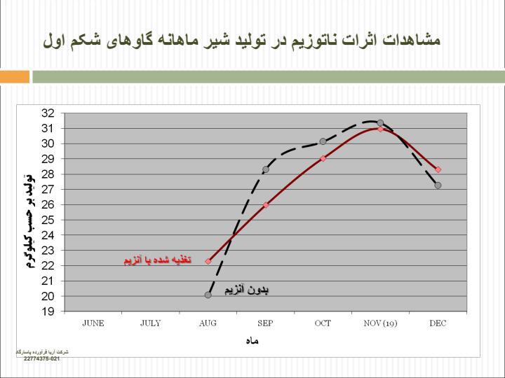 گاو-شیری4