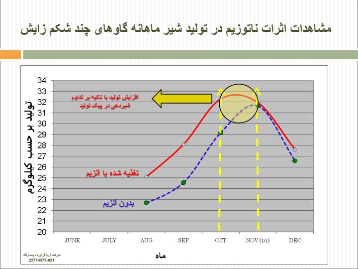 گاو-شیری5