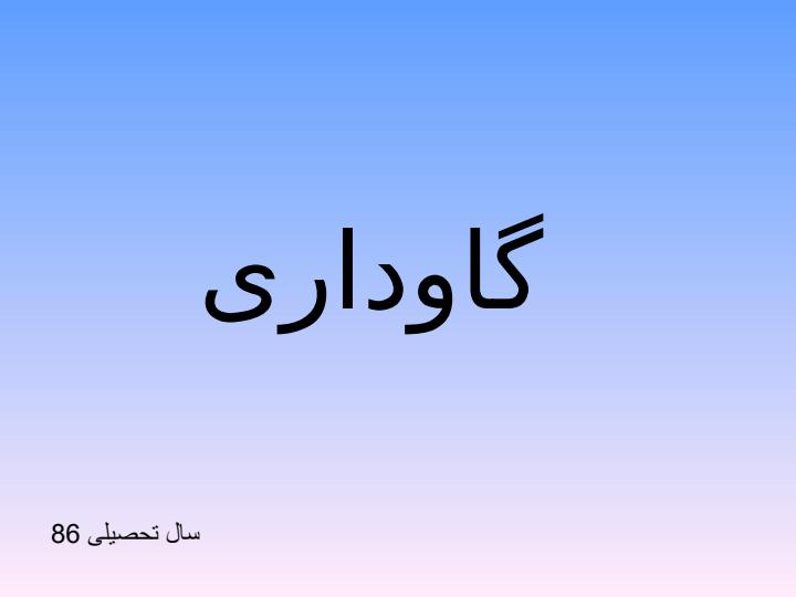 گاوداری1