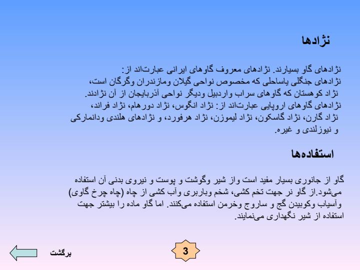 گاوداری6