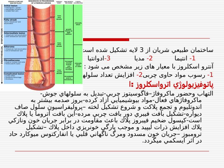 آترواسكلروز1