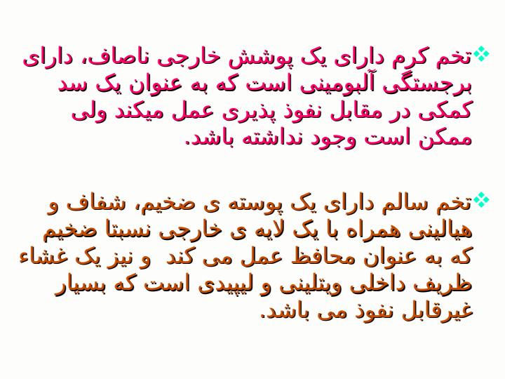 آسکاریس-لومبریکوئیدس2