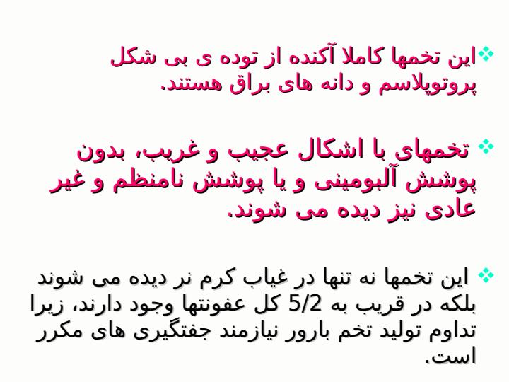 آسکاریس-لومبریکوئیدس4