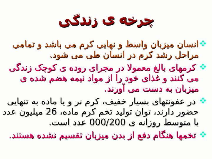 آسکاریس-لومبریکوئیدس5