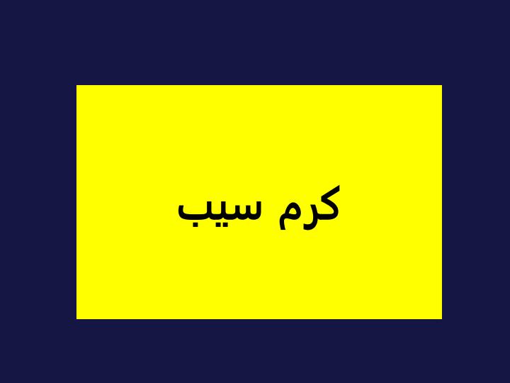 آفات-مهم-درختان-گردو1