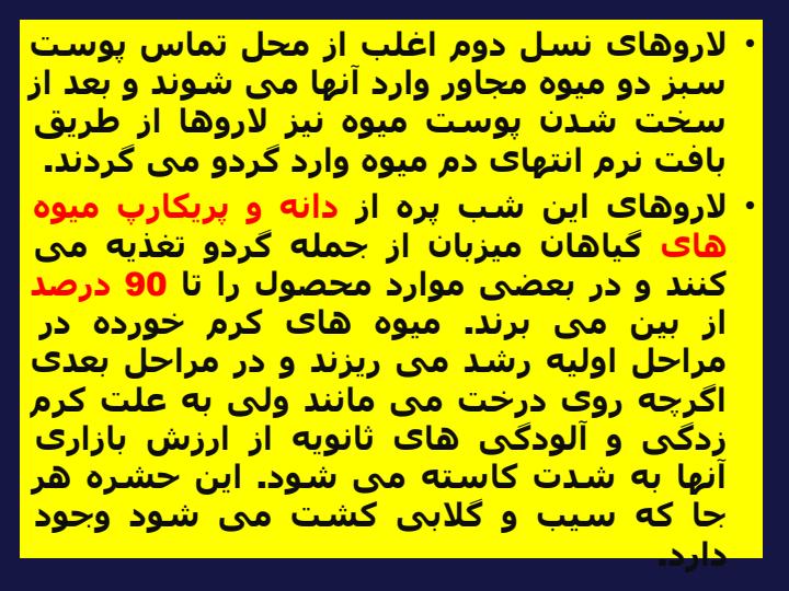 آفات-مهم-درختان-گردو3