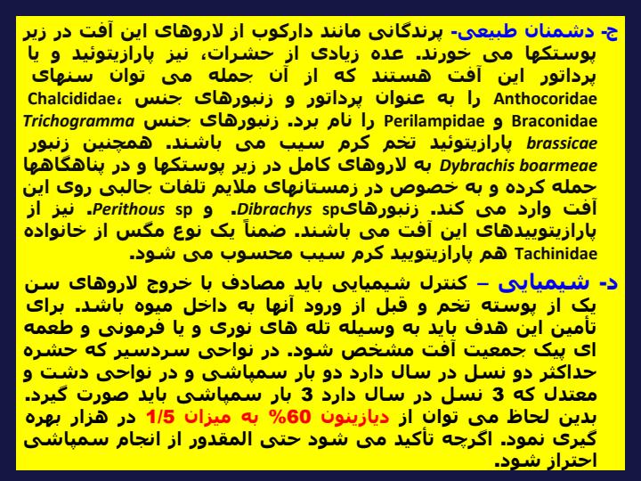 آفات-مهم-درختان-گردو6