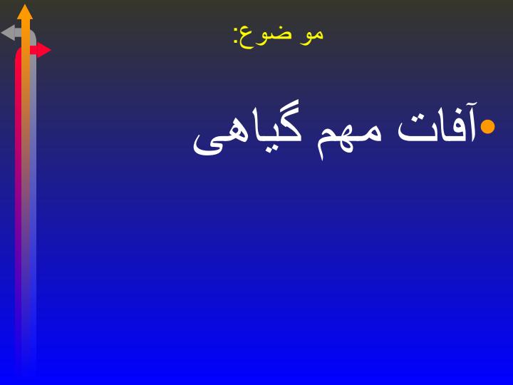 آفات-مهم-گیاهی1