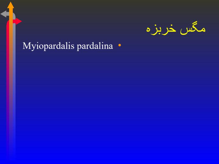 آفات-مهم-گیاهی3