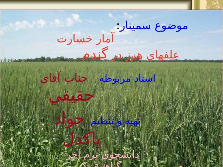آمار-خسارت-علفهاي-هرز-در-گندم1
