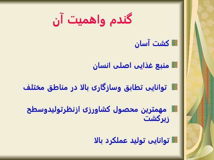 آمار-خسارت-علفهاي-هرز-در-گندم3