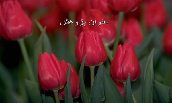 بررسي-اثر-بخشي-آموزش-گروهي-مهارت-حل-مسأله-در-افزايش-عزت-نفس-و-سازگاري-اجتماعي-دانشجويان-دختر