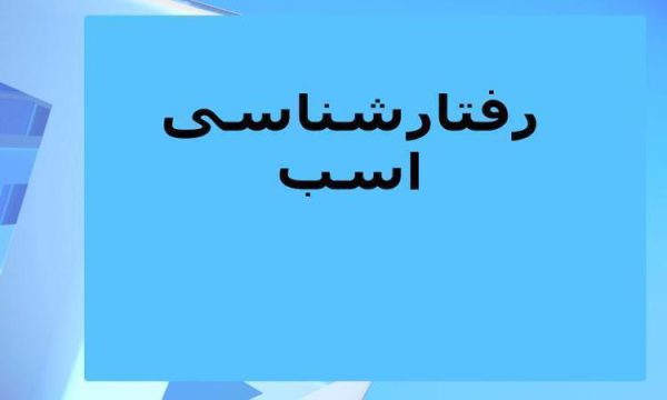 رفتارشناسی-اسب