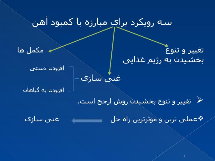 استفاده-از-ریزکپسول-سازی-در-مبارزه-با-کمبود-آهن6