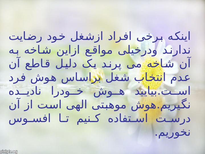 انتخاب-رشته4